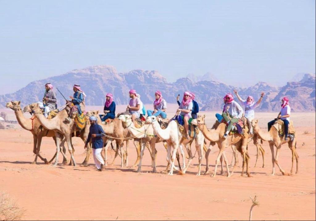 Hotel Bedouin Adventure & Tours Wadi Rum Exterior foto